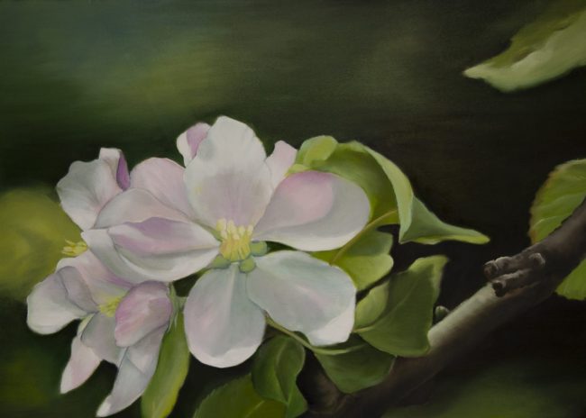 02 Nel Janssen-Kurvers